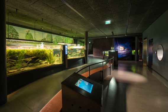 Ein Innenaquarium mit großen Fischbecken, Informationsdisplays, gedämpfter Beleuchtung und einer Rampe für die Besucher.