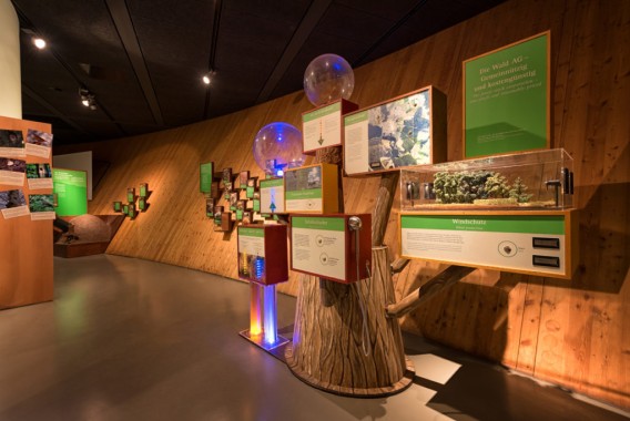 Museumsausstellung mit interaktiven Displays, Karten, didaktischen Schildern und einem Diorama an geschwungenen Holzwänden in einem gut beleuchteten Raum.