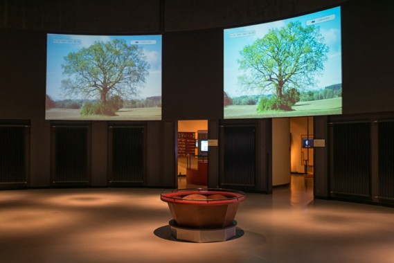 Großer kreisförmiger Raum mit zwei projizierten Bildern eines Baumes an der Wand, einer roten runden Struktur in der Mitte und Türen, die zu anderen Bereichen führen.