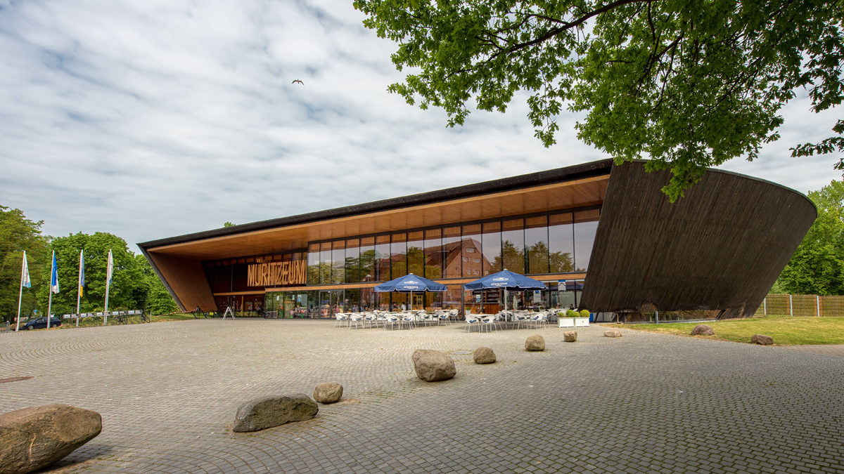 Ein modernes, geschwungenes Holzgebäude mit großen Glasfenstern beherbergt ein Café mit Sitzgelegenheiten im Freien; im Vordergrund befinden sich ein mit Steinen gepflasterter Platz und verstreute Felsen.